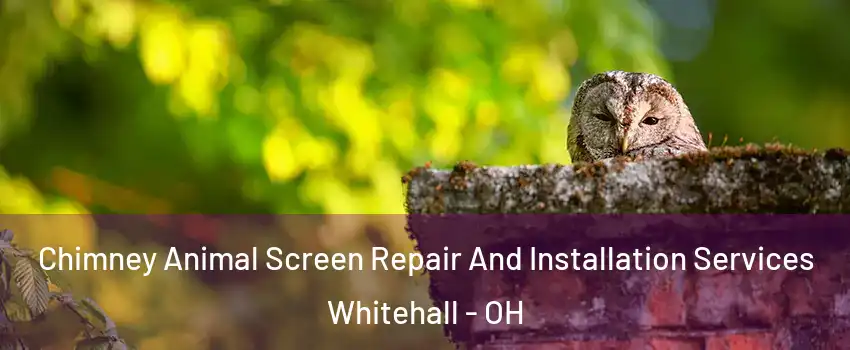  Chimney Animal Screen Repair And Installation Services Whitehall - OH