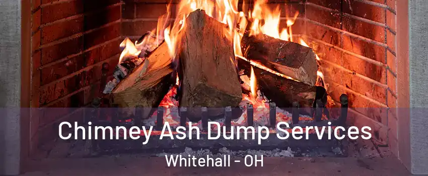  Chimney Ash Dump Services Whitehall - OH