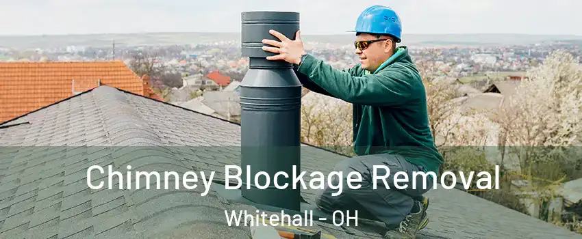  Chimney Blockage Removal Whitehall - OH
