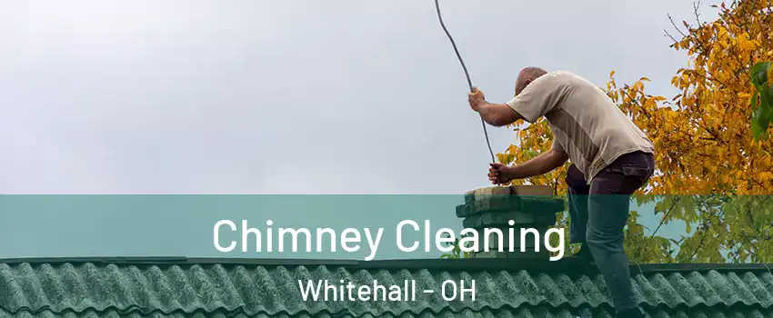  Chimney Cleaning Whitehall - OH