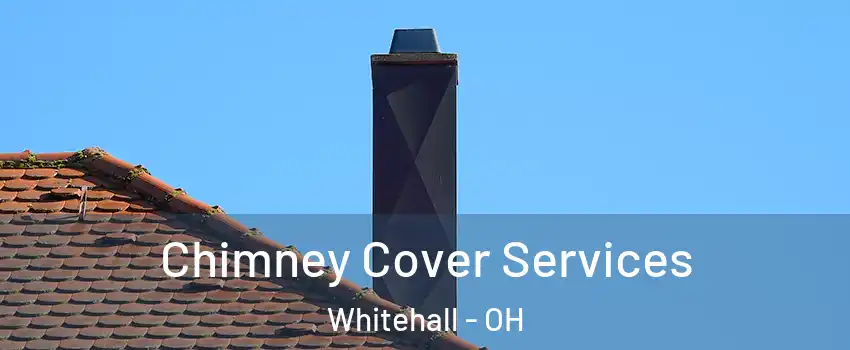  Chimney Cover Services Whitehall - OH