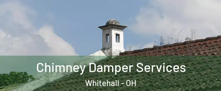  Chimney Damper Services Whitehall - OH
