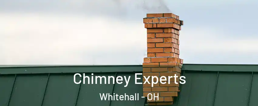  Chimney Experts Whitehall - OH