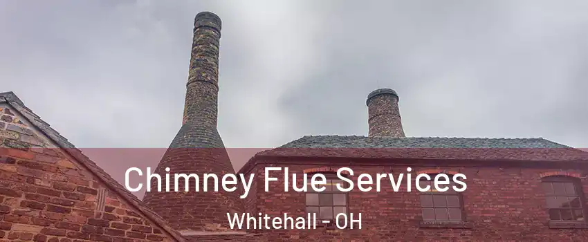  Chimney Flue Services Whitehall - OH