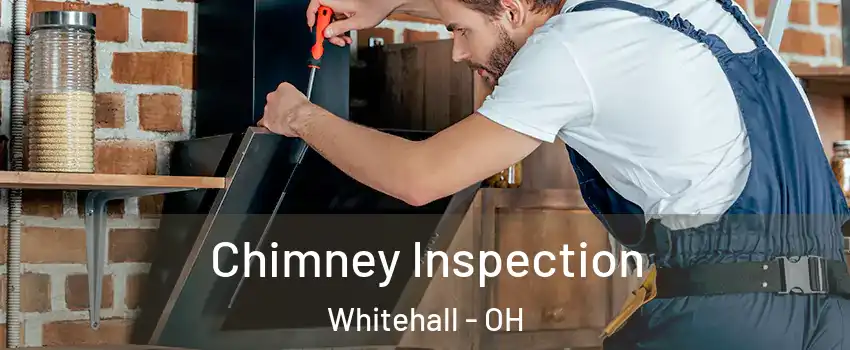  Chimney Inspection Whitehall - OH