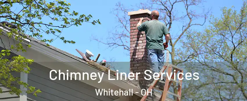  Chimney Liner Services Whitehall - OH