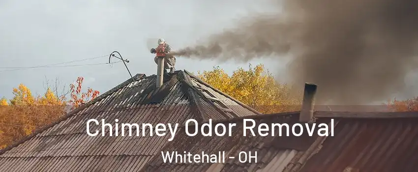 Chimney Odor Removal Whitehall - OH