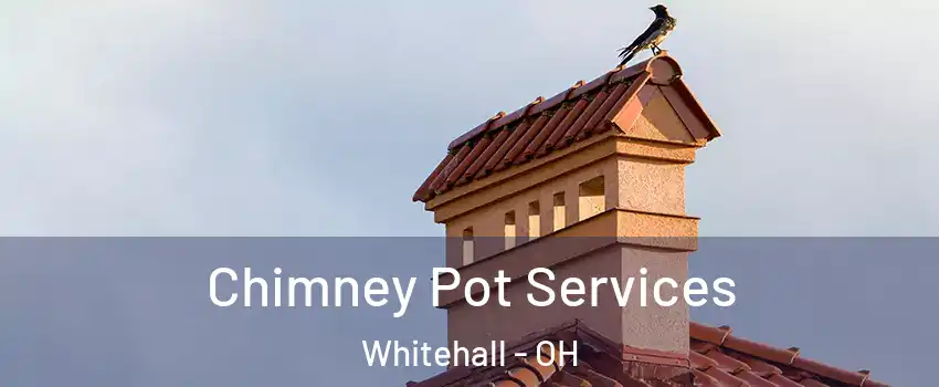  Chimney Pot Services Whitehall - OH