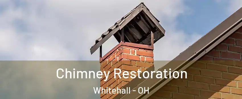  Chimney Restoration Whitehall - OH