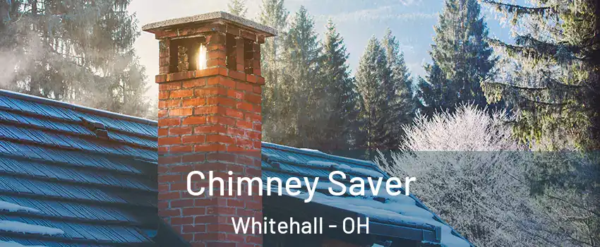  Chimney Saver Whitehall - OH