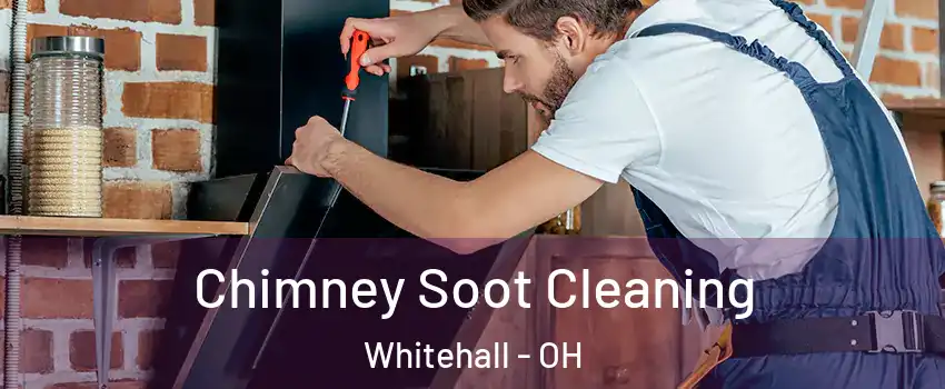  Chimney Soot Cleaning Whitehall - OH