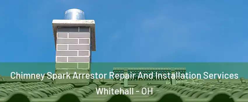 Chimney Spark Arrestor Repair And Installation Services Whitehall - OH