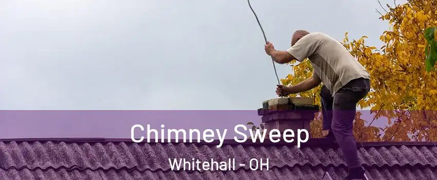  Chimney Sweep Whitehall - OH