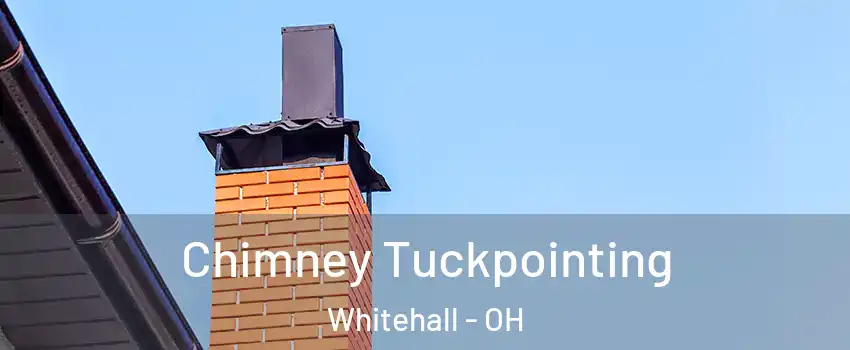  Chimney Tuckpointing Whitehall - OH