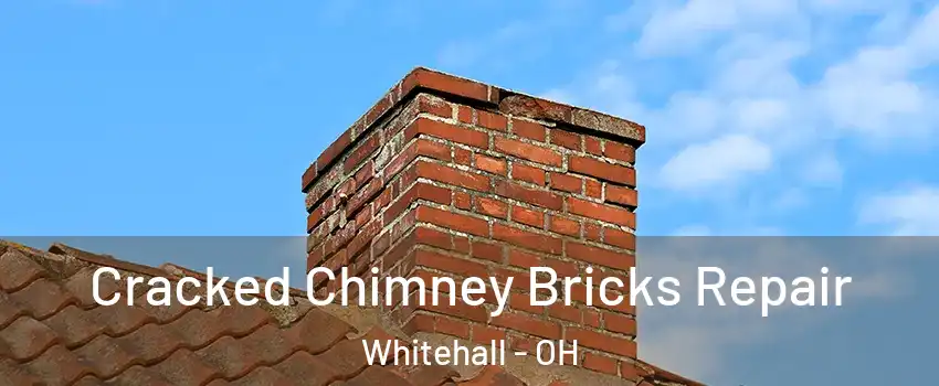  Cracked Chimney Bricks Repair Whitehall - OH