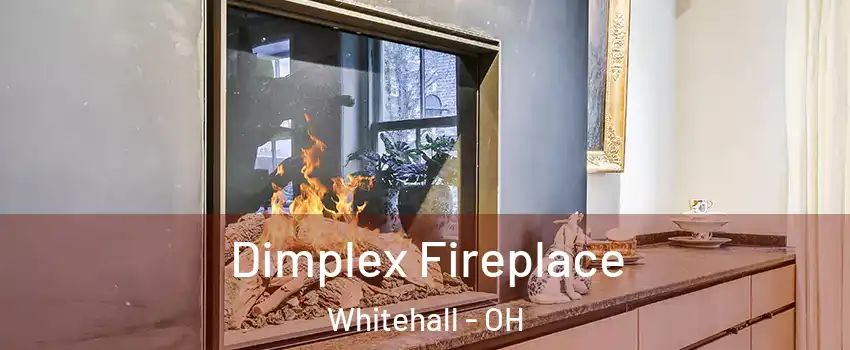  Dimplex Fireplace Whitehall - OH