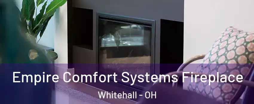  Empire Comfort Systems Fireplace Whitehall - OH