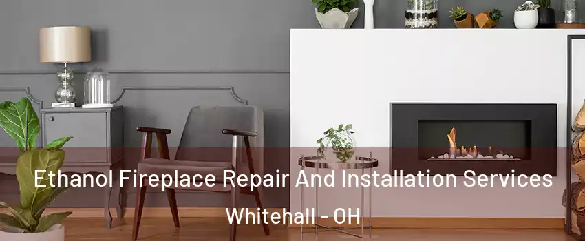  Ethanol Fireplace Repair And Installation Services Whitehall - OH