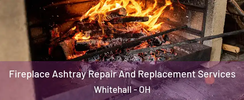  Fireplace Ashtray Repair And Replacement Services Whitehall - OH