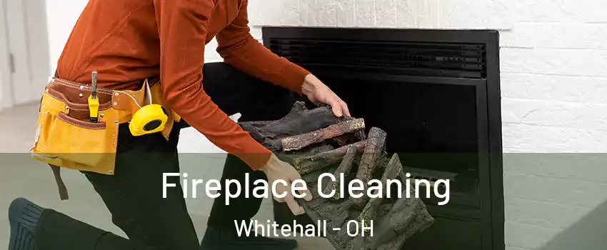  Fireplace Cleaning Whitehall - OH