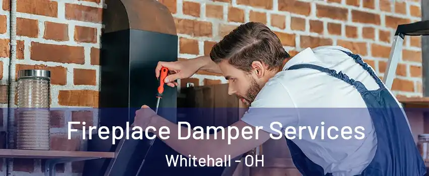  Fireplace Damper Services Whitehall - OH