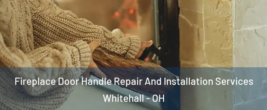  Fireplace Door Handle Repair And Installation Services Whitehall - OH