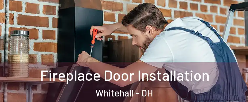  Fireplace Door Installation Whitehall - OH