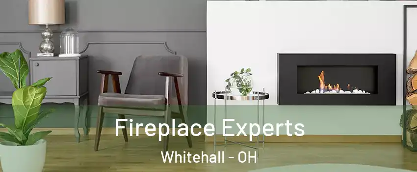  Fireplace Experts Whitehall - OH