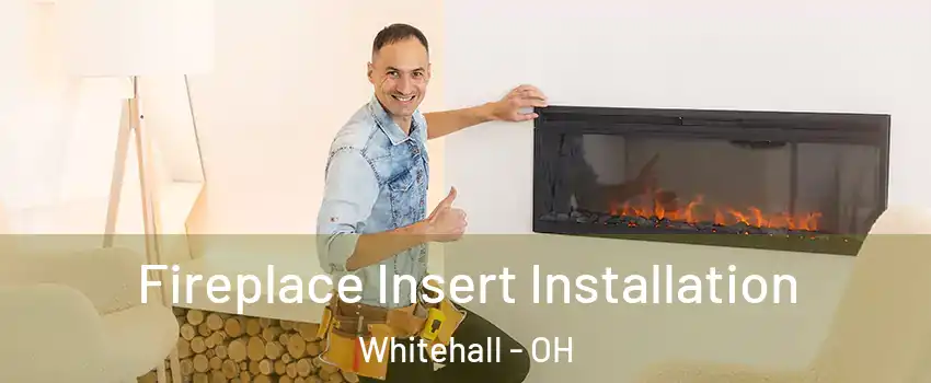  Fireplace Insert Installation Whitehall - OH