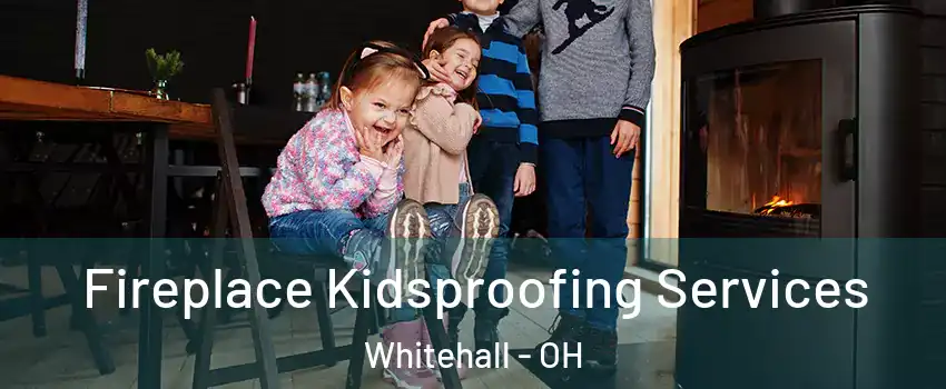  Fireplace Kidsproofing Services Whitehall - OH