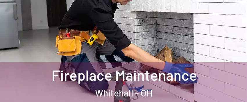  Fireplace Maintenance Whitehall - OH