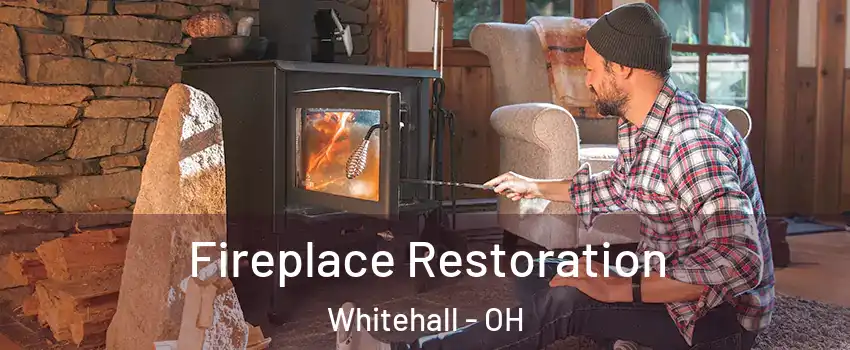  Fireplace Restoration Whitehall - OH