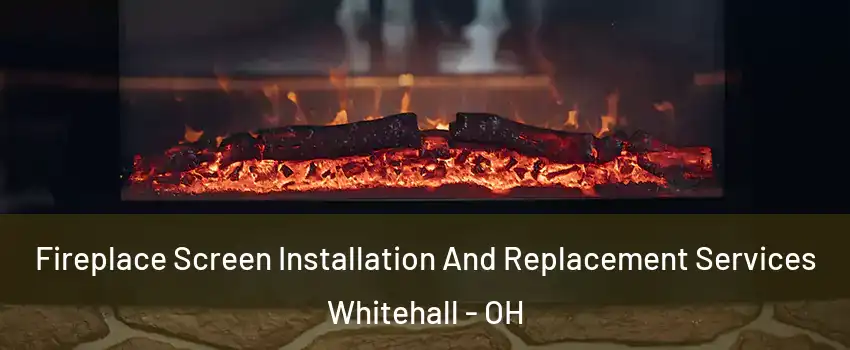  Fireplace Screen Installation And Replacement Services Whitehall - OH