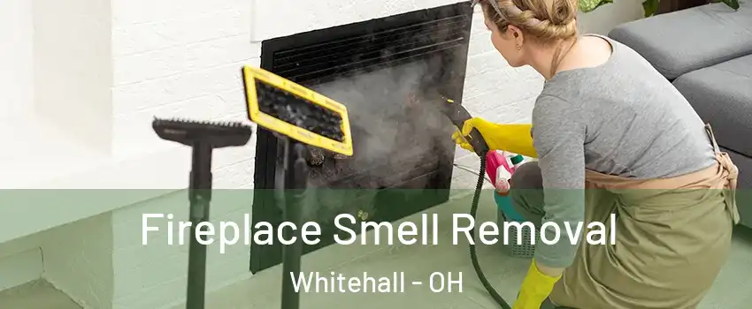 Fireplace Smell Removal Whitehall - OH