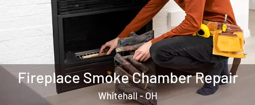 Fireplace Smoke Chamber Repair Whitehall - OH