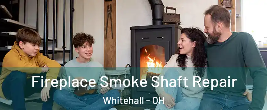  Fireplace Smoke Shaft Repair Whitehall - OH