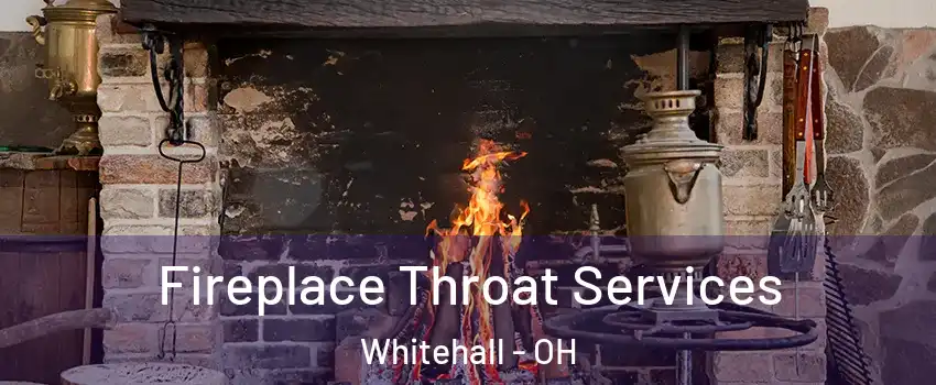  Fireplace Throat Services Whitehall - OH