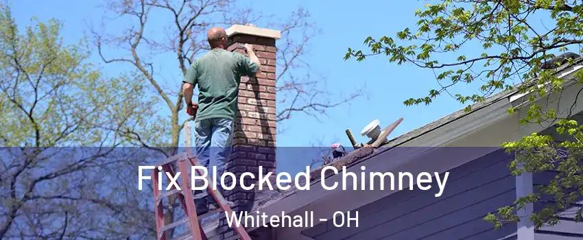  Fix Blocked Chimney Whitehall - OH