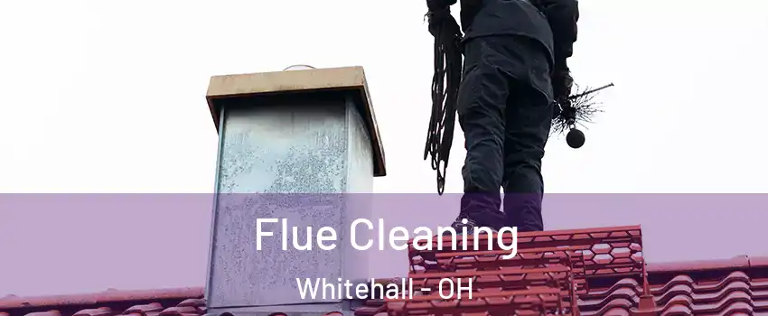  Flue Cleaning Whitehall - OH