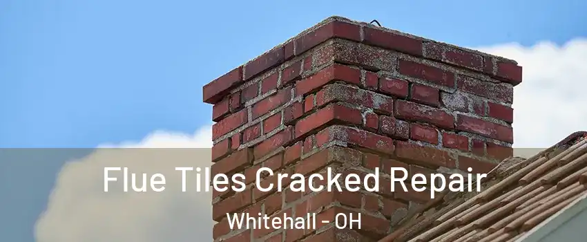  Flue Tiles Cracked Repair Whitehall - OH