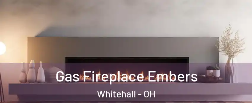  Gas Fireplace Embers Whitehall - OH