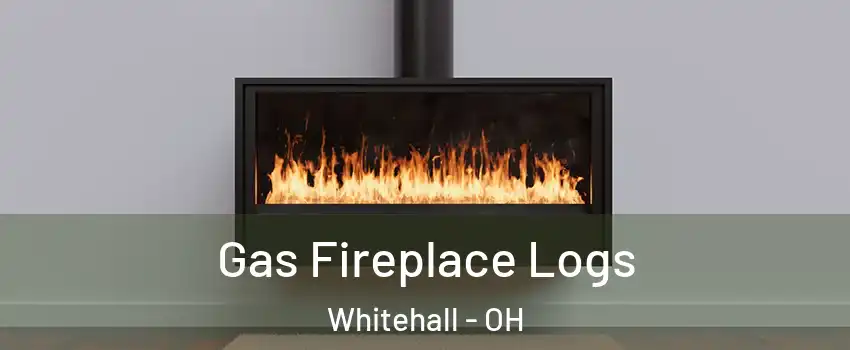  Gas Fireplace Logs Whitehall - OH