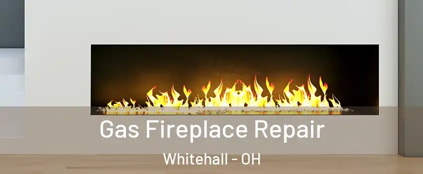  Gas Fireplace Repair Whitehall - OH