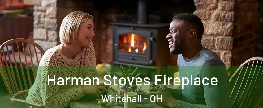  Harman Stoves Fireplace Whitehall - OH