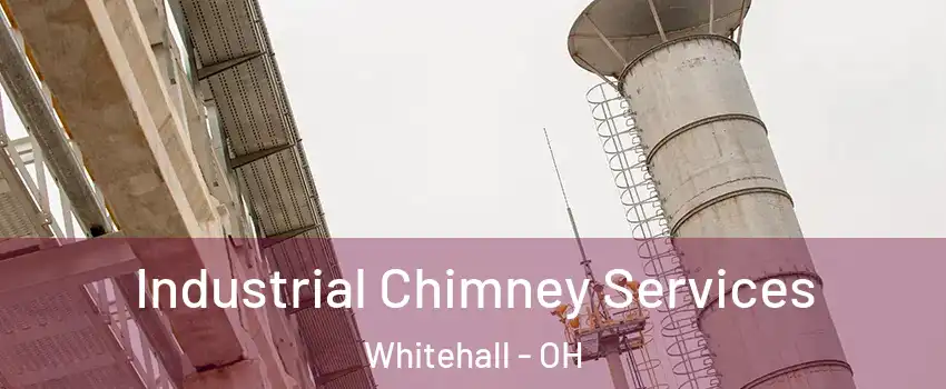  Industrial Chimney Services Whitehall - OH