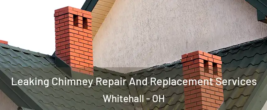  Leaking Chimney Repair And Replacement Services Whitehall - OH