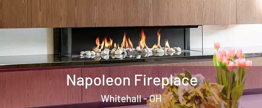  Napoleon Fireplace Whitehall - OH