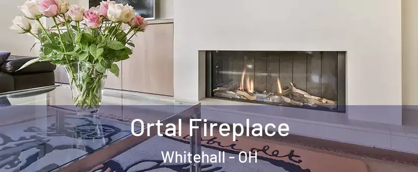 Ortal Fireplace Whitehall - OH