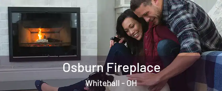  Osburn Fireplace Whitehall - OH