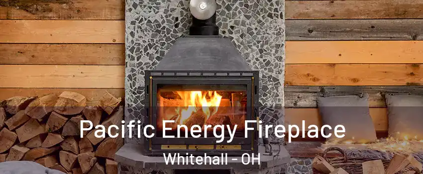  Pacific Energy Fireplace Whitehall - OH